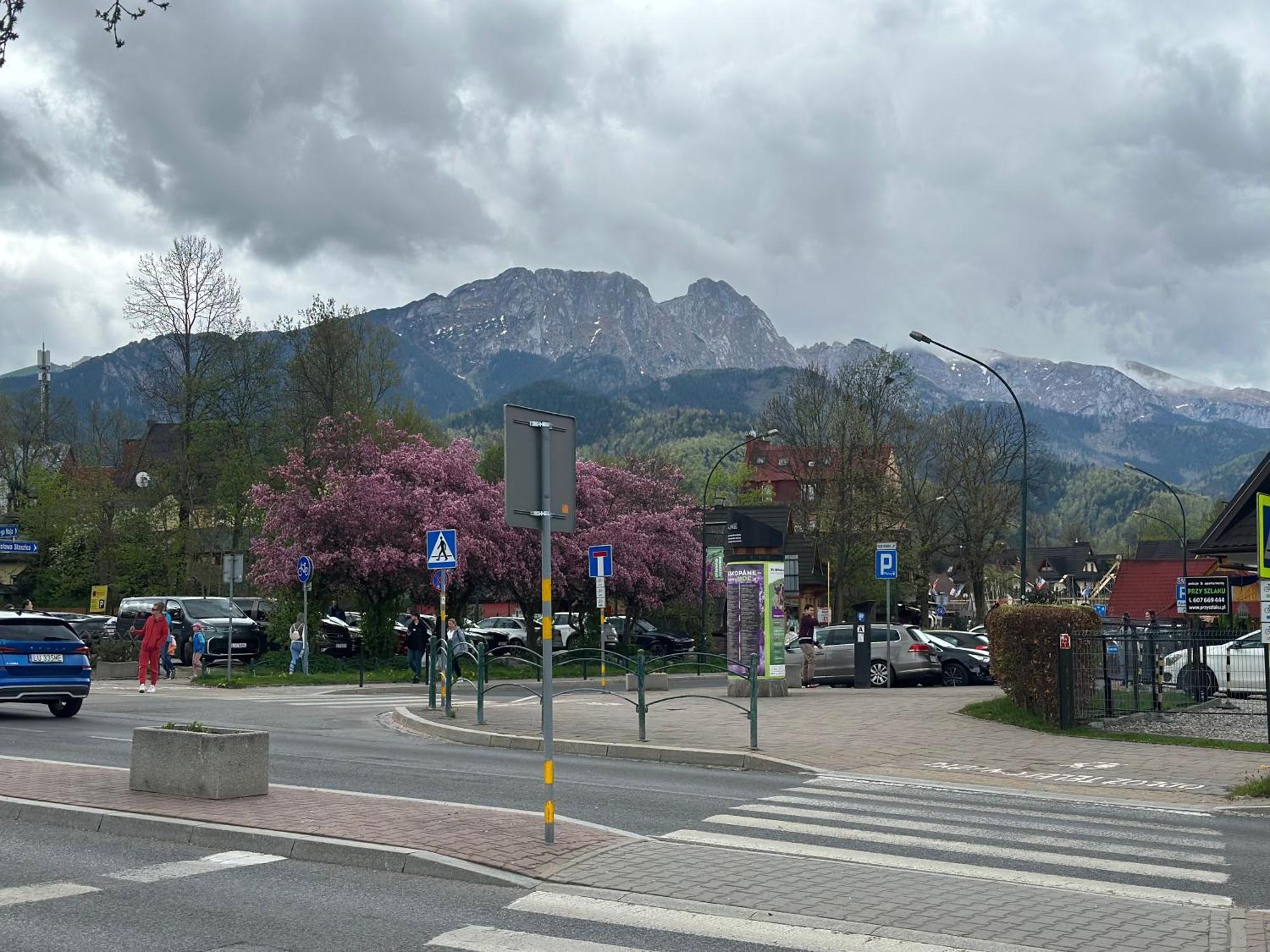 Lesny Dworek Zakopane, Zakopane
